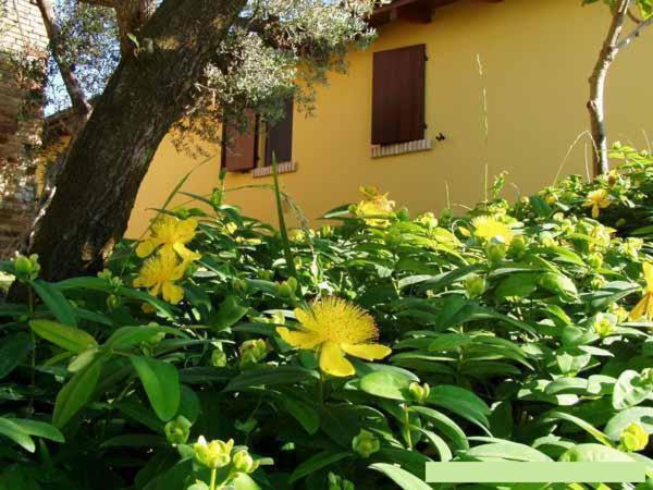 Agriturismo Tenuta Santa Maria Notaresco Exterior photo