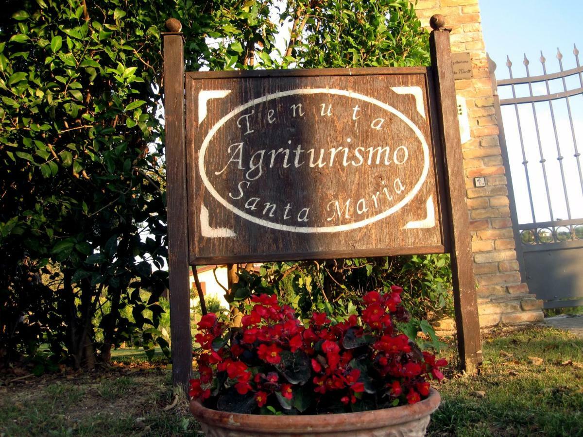 Agriturismo Tenuta Santa Maria Notaresco Exterior photo